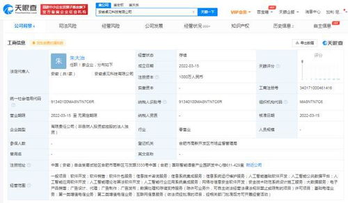 科大讯飞在安徽新设两家科技公司 聚焦信息系统集成服务